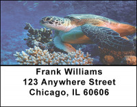 Sea Turtles in Nature Address Labels | LBBAQ-06