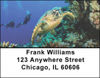 Sea Turtles in Nature Address Labels | LBBAQ-06