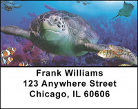 Sea Turtles in Nature Address Labels | LBBAQ-06