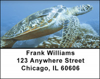 Sea Turtles Down Under Address Labels | LBBAQ-07