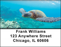 Sea Turtles Down Under Address Labels | LBBAQ-07