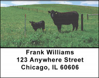 Black Angus Pride Address Labels | LBBAQ-08