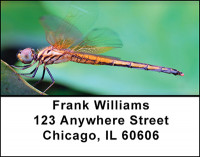 Dragonflies Workin Address Labels | LBBAQ-50