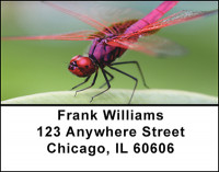 Dragonflies Workin Address Labels | LBBAQ-50