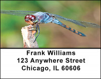 Dragonflies Workin Address Labels | LBBAQ-50