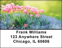 Tulip Brilliance Address Labels | LBBAQ-51