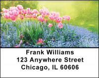 Tulip Brilliance Address Labels | LBBAQ-51