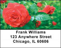 Parade of Roses Address Labels | LBBAQ-58