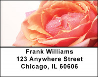 Parade of Roses Address Labels | LBBAQ-58