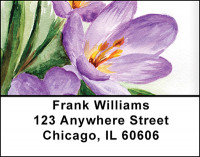 Purple Crocus Watercolor Art Address Labels | LBBAQ-59