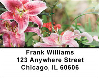 Gardens in Bloom Address Labels | LBBAQ-62