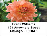Gardens in Bloom Address Labels | LBBAQ-62