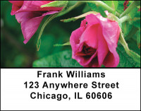 Floral Favorites Address Labels | LBBAQ-65