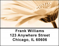 Floral Favorites Address Labels | LBBAQ-65