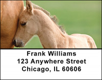 Baby Horses with Moms Address Labels | LBBAQ-86