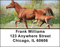 Baby Horses with Moms Address Labels | LBBAQ-86
