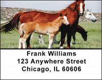 Baby Horses with Moms Address Labels | LBBAQ-86