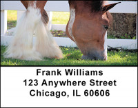 Clydesdale Horses Address Labels | LBBAQ-87