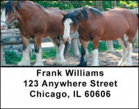 Clydesdale Horses Address Labels | LBBAQ-87