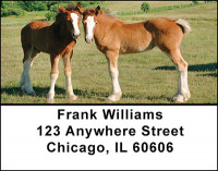 Clydesdale Horses Address Labels | LBBAQ-87