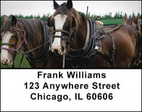 Clydesdale Horses Address Labels | LBBAQ-87