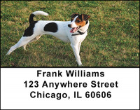 Jack Russell At Attention Address Labels | LBBAQ-88