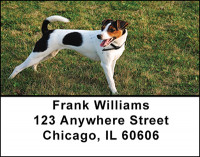 Jack Russell At Attention Address Labels | LBBAQ-88