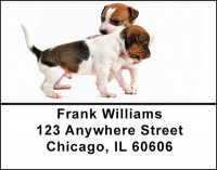 Jack Russell Babies Address Labels | LBBAQ-89