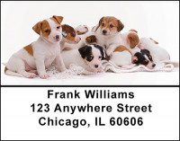 Jack Russell Babies Address Labels | LBBAQ-89