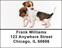 Jack Russell Babies Address Labels | LBBAQ-89