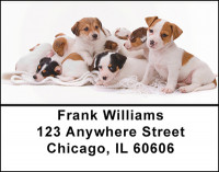 Jack Russell Babies Address Labels | LBBAQ-89