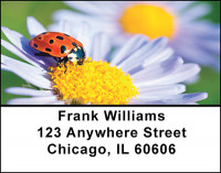 The Ladybug Address Labels | LBBAQ-91