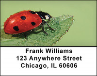 The Ladybug Address Labels | LBBAQ-91
