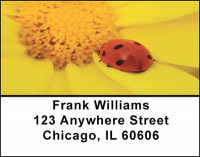 The Ladybug Address Labels | LBBAQ-91