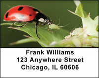 The Ladybug Address Labels | LBBAQ-91