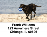 Black Labradors Address Labels | LBDOG-11