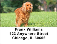 Cocker Spaniels Are Cute Address Labels | LBDOG-18