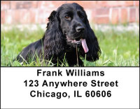 Cocker Spaniels Are Cute Address Labels | LBDOG-18