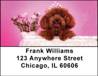 Toy Poodles Address Labels | LBDOG-21