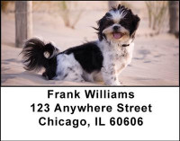 Shih Tzus Address Labels | LBDOG-22