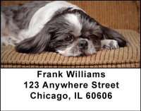 Shih Tzus Address Labels | LBDOG-22