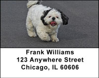 Shih Tzus Address Labels | LBDOG-22