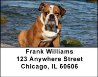 Bulldogs Are Fun Address Labels | LBDOG-23