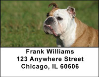 Bulldogs Are Fun Address Labels | LBDOG-23