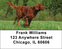 Irish Setter Address Labels | LBDOG-38
