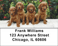 Irish Setter Address Labels | LBDOG-38