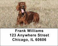 Irish Setter Address Labels | LBDOG-38