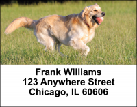 Golden Retriever Address Labels | LBDOG-39