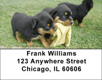 Rottweiler Address Labels | LBDOG-40