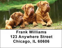 Mastiff Majesty Address Labels | LBDOG-41